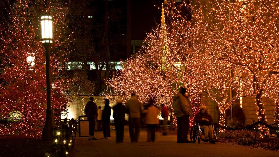 Temple Square Christmas Lights