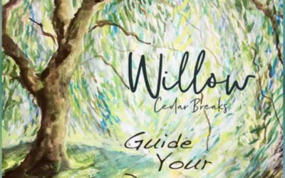 Tender Ballad, Willow, by Cedar Breaks Wins Awards Across The Country