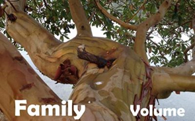 James Dunne’s Music Legacy – “Family Songs, Volume One”